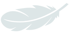 A falling feather
